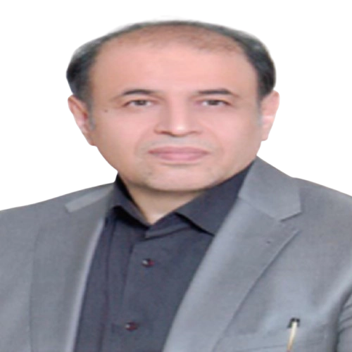 محمد رضا محمد